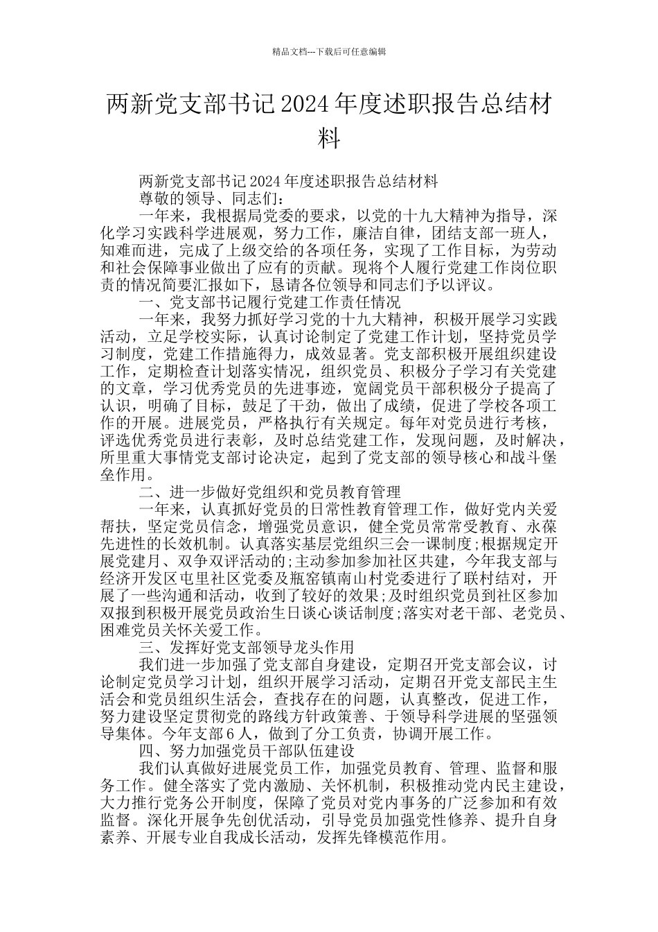 两新党支部书记2024年度述职报告总结材料_第1页