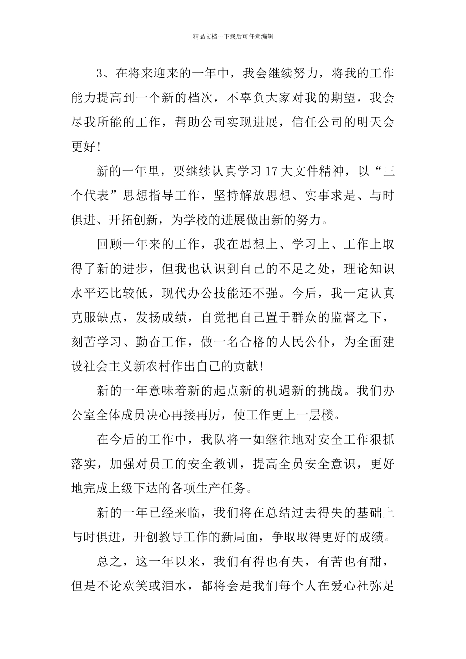 个人工作总结开头语例文_第3页