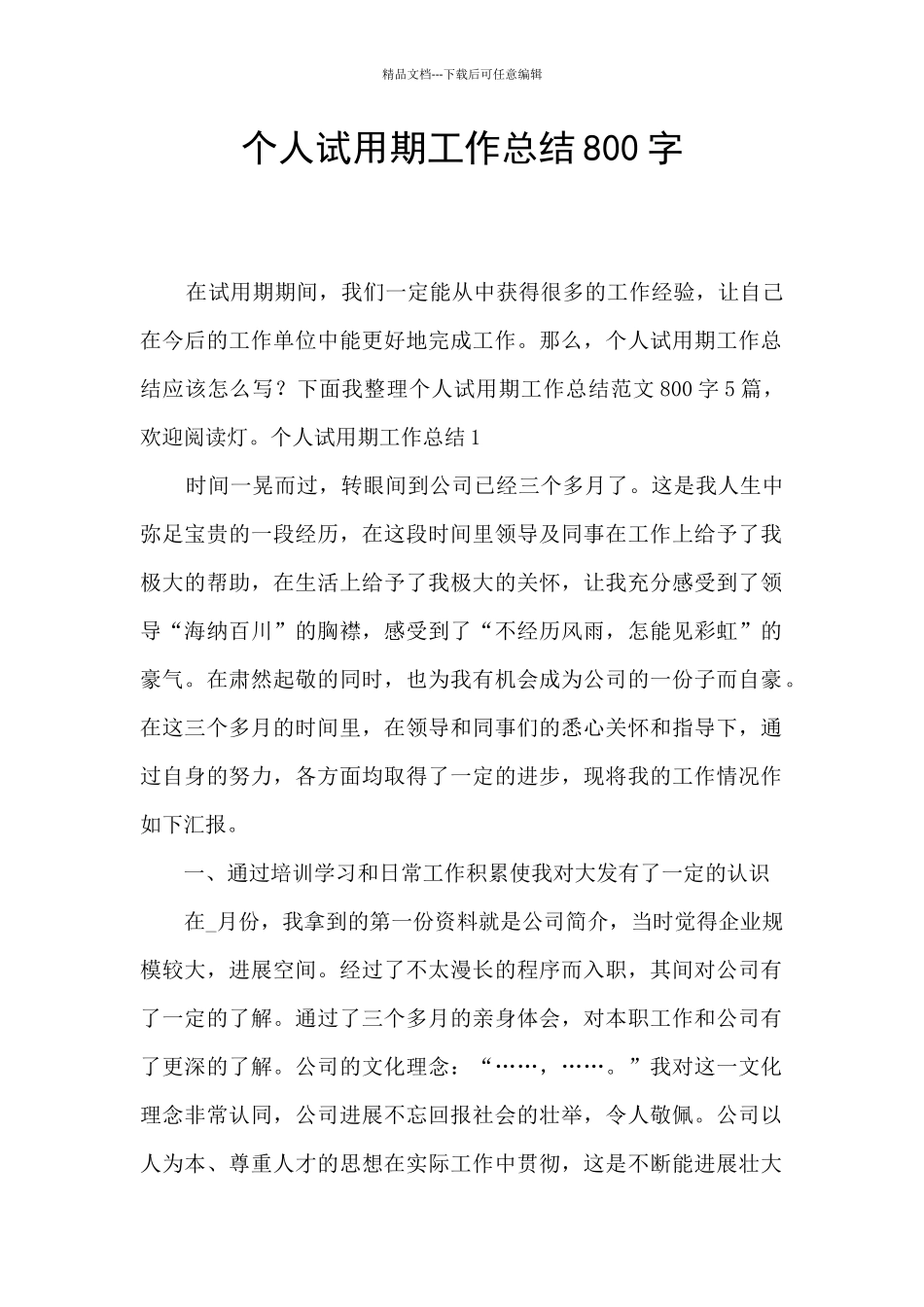 个人试用期工作总结800字_第1页