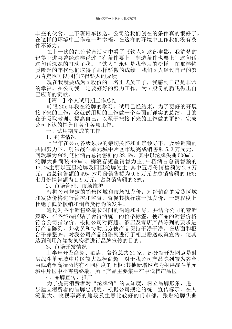 个人试用期工作总结精选2024_第2页