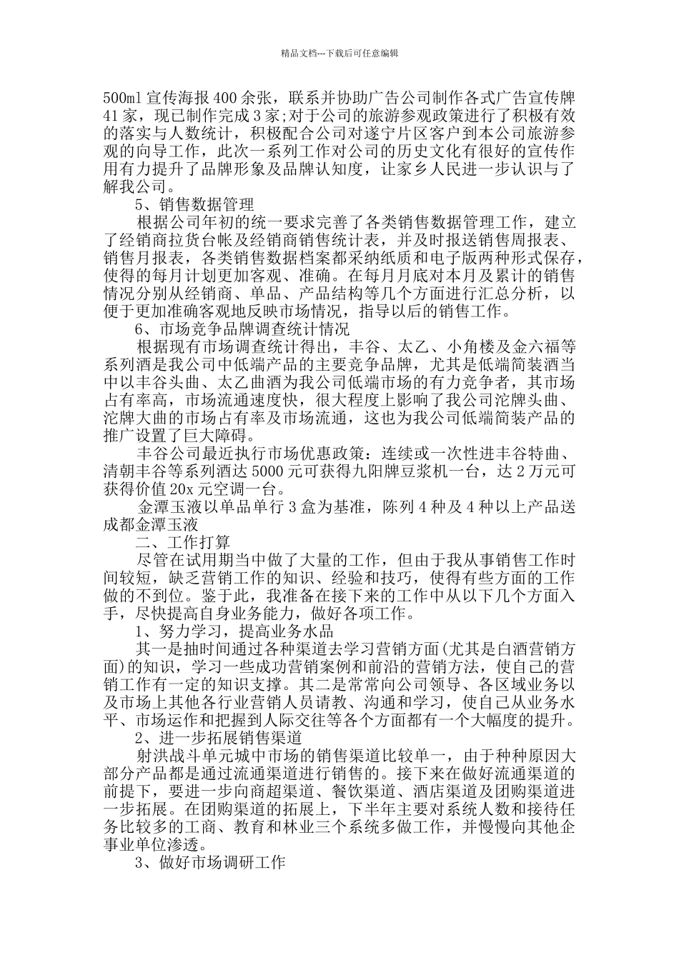 个人试用期工作总结精选2024_第3页