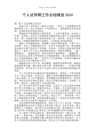 个人试用期工作总结精选2024