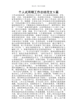 个人试用期工作总结范文5篇