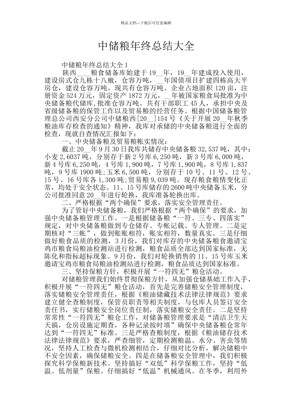 中储粮年终总结大全_第1页