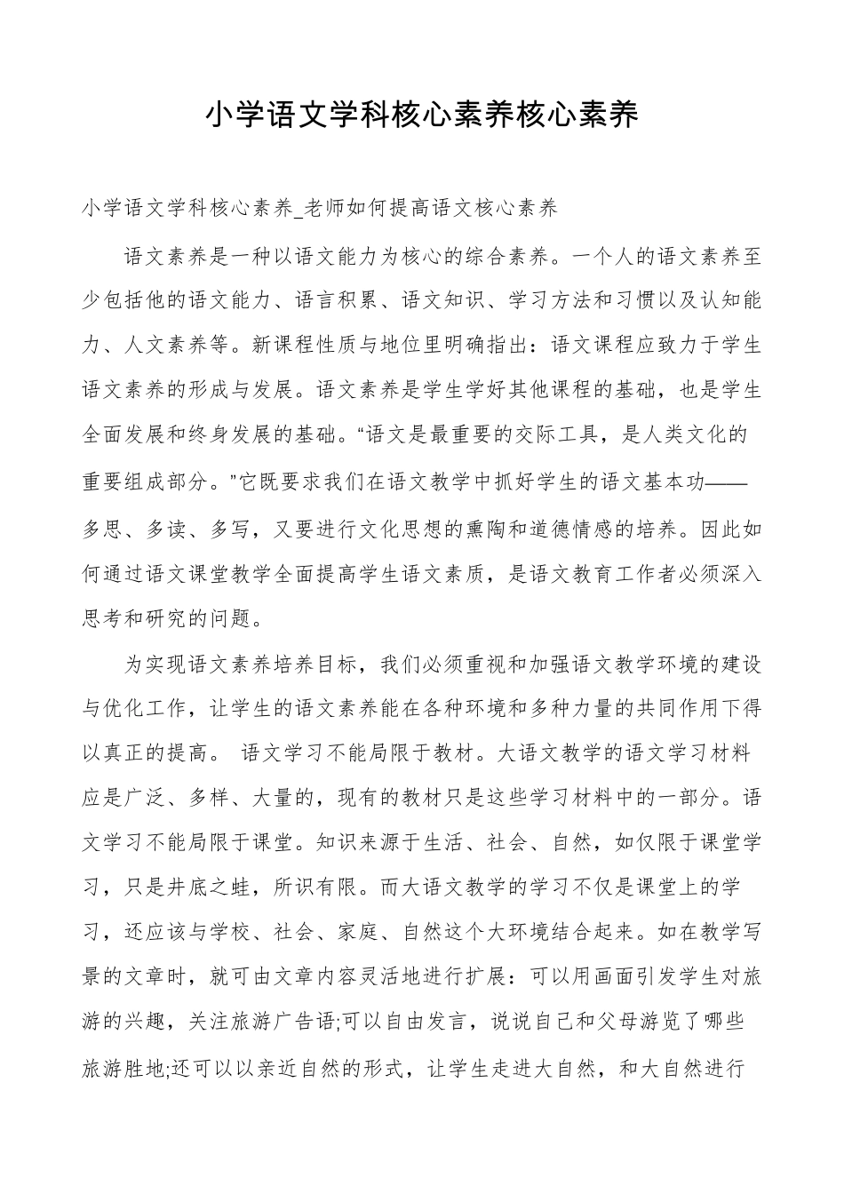 小学语文学科核心素养核心素养_第1页