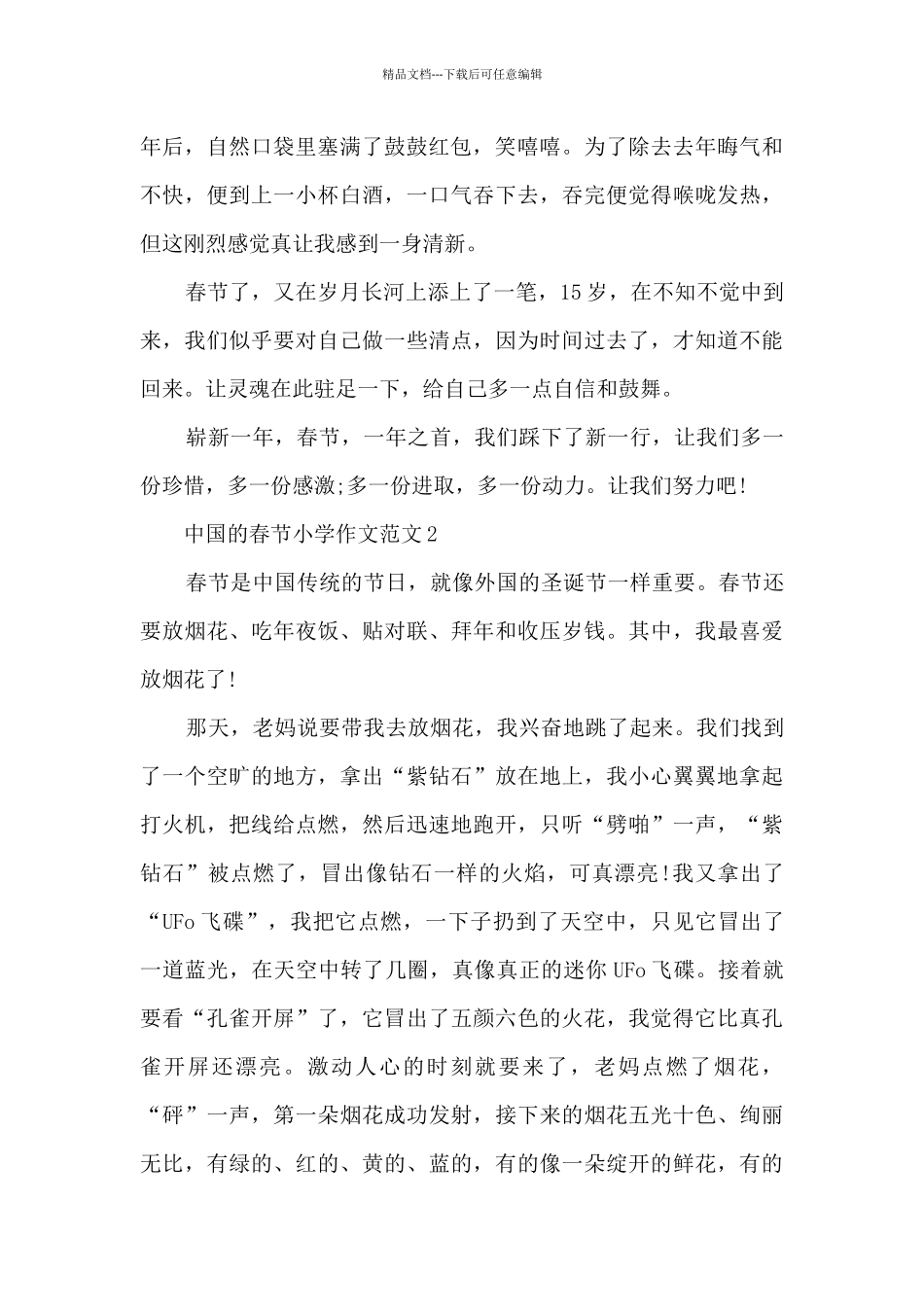中国的春节小学作文范文5篇_第2页