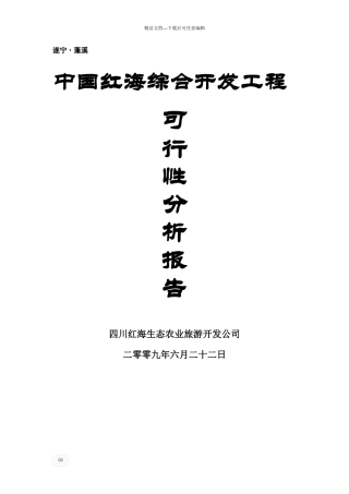 中国红海综合开发项目可行性分析
