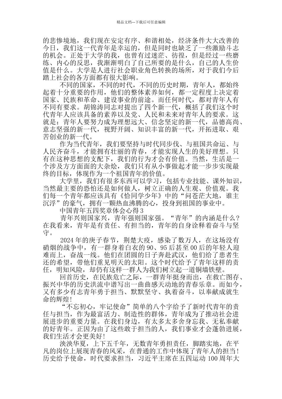 中国青年五四奖章2024个人体会心得_第2页