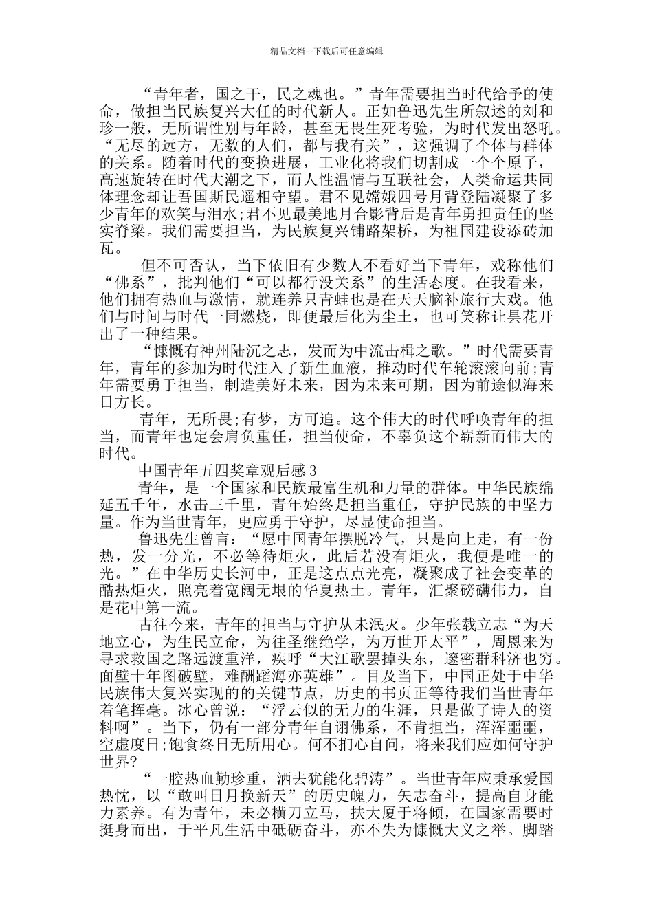 中国青年五四奖章颁奖典礼观后感2024_第2页