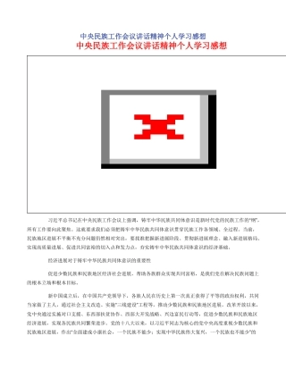 中央民族工作会议讲话精神个人学习感想