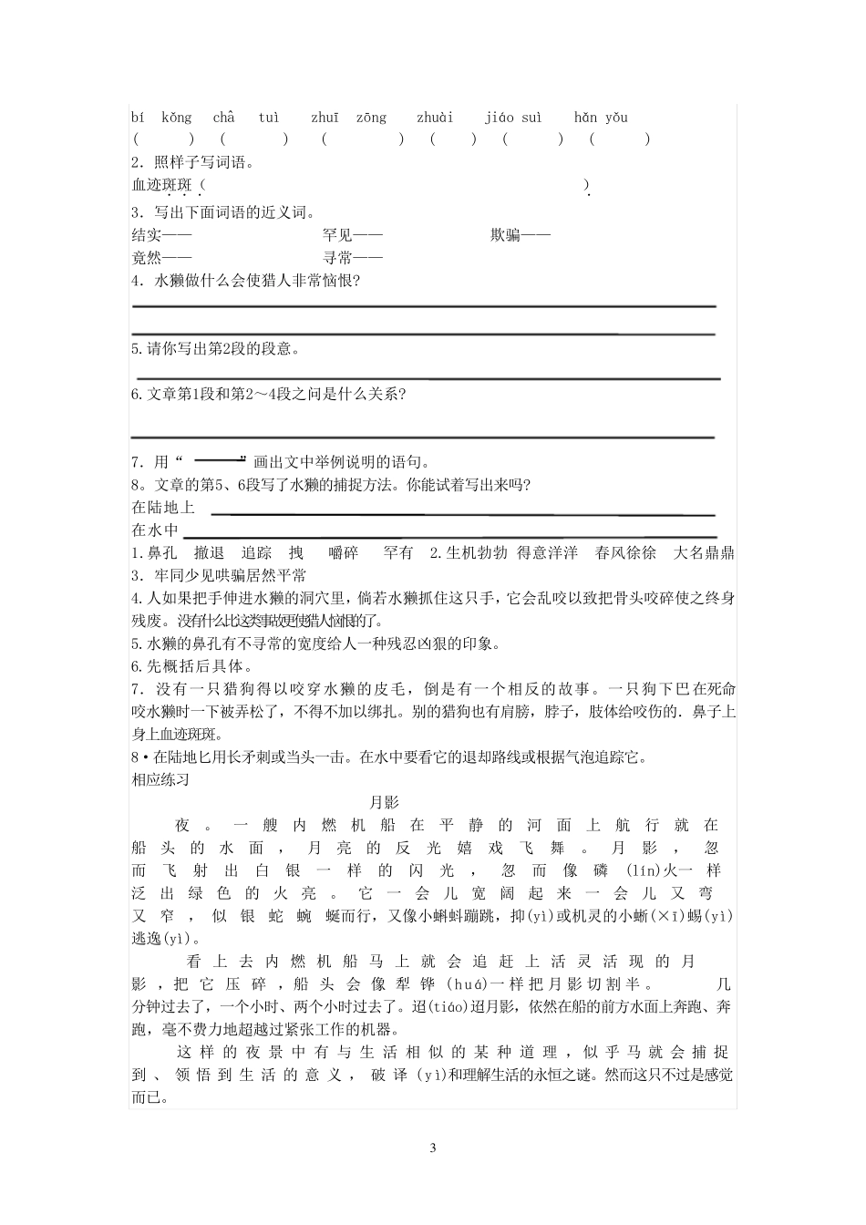 小学语文说明文阅读_第3页