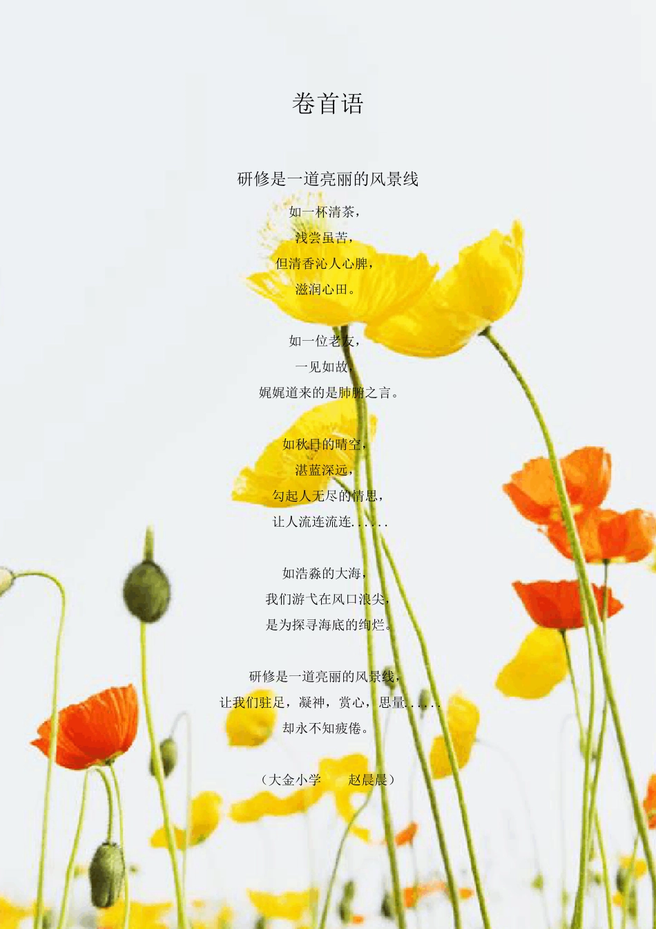 小学语文远程研修简报_第2页