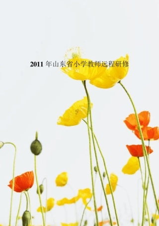 小学语文远程研修简报