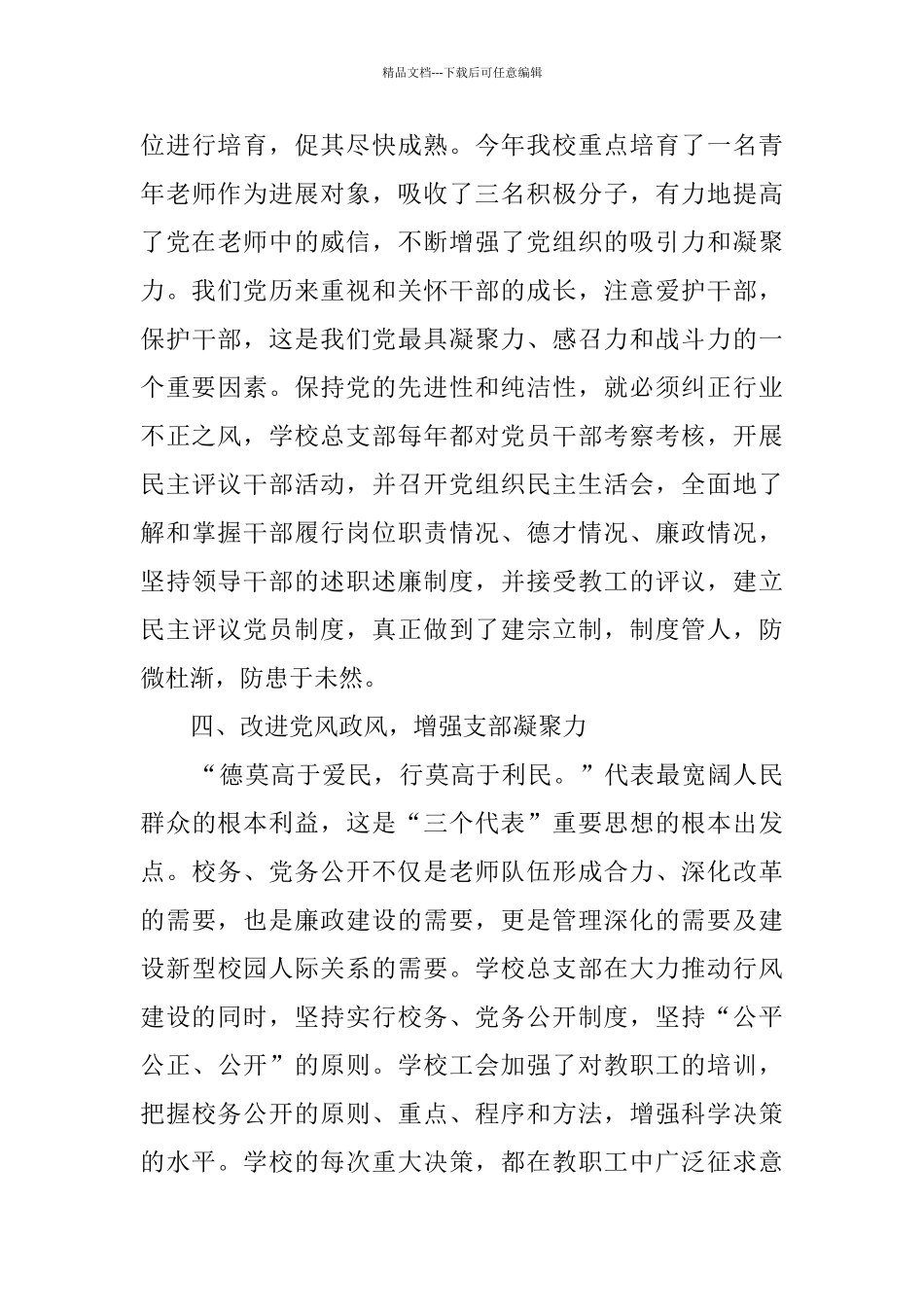 中学党总支部年终工作总结范文_第3页