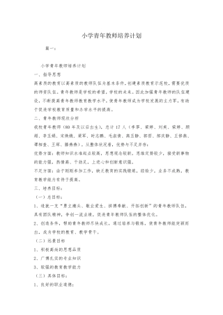 小学青年教师培养计划