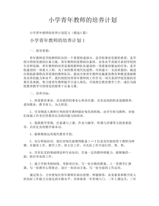 小学青年教师的培养计划