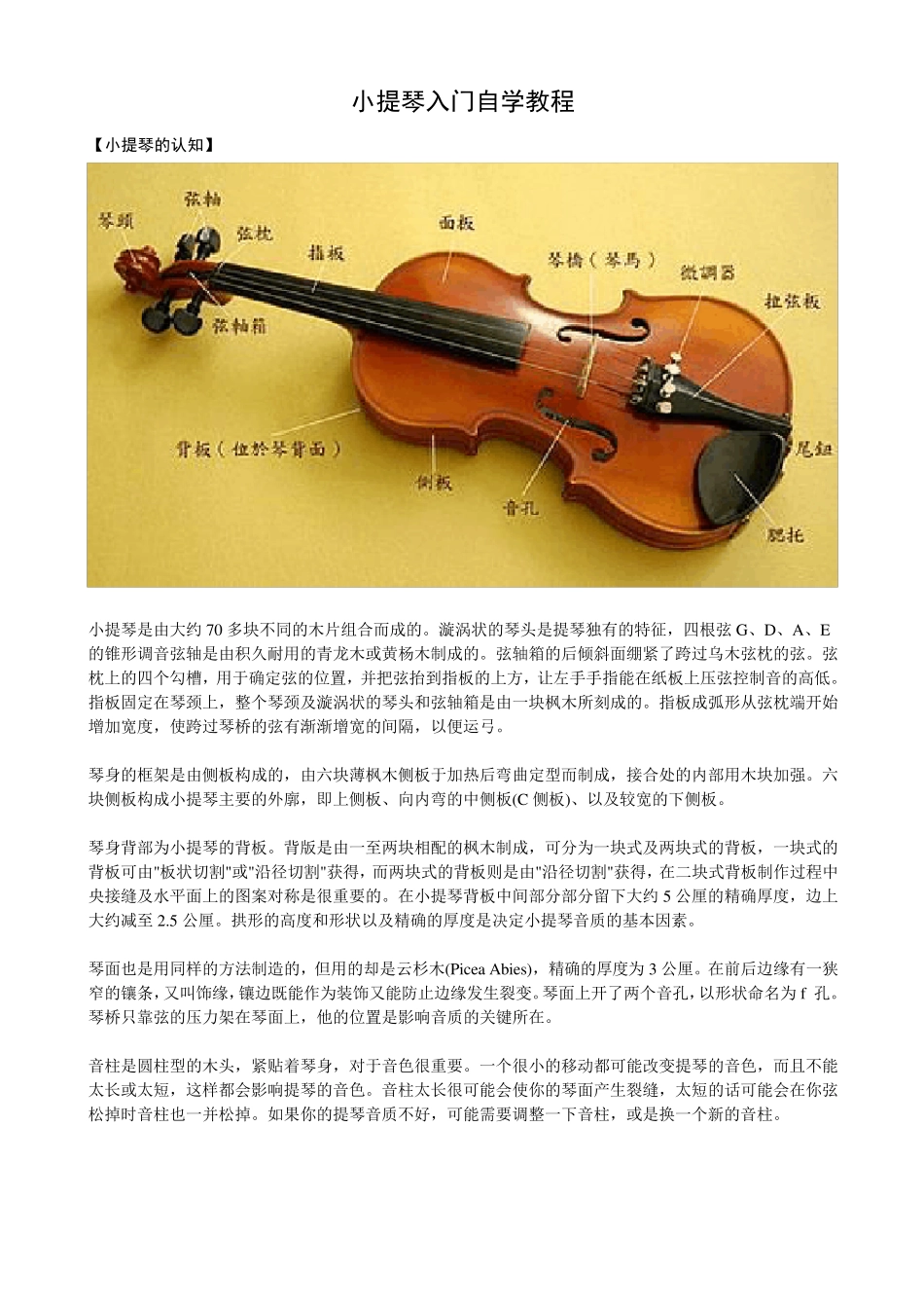 小提琴入门自学教程_第1页