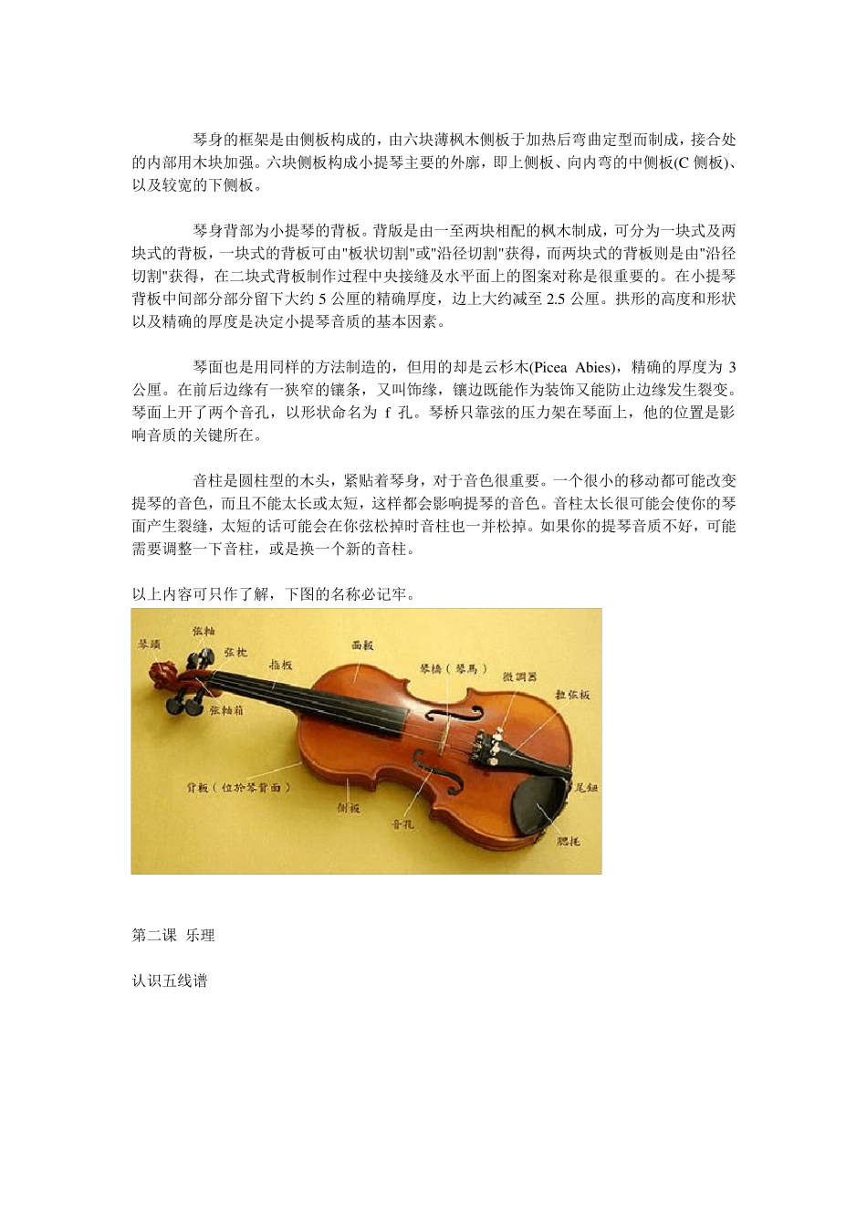 小提琴完全自学教程_第2页