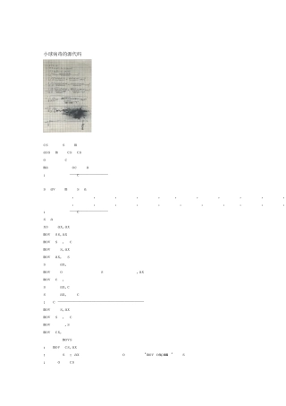 小球病毒源代码