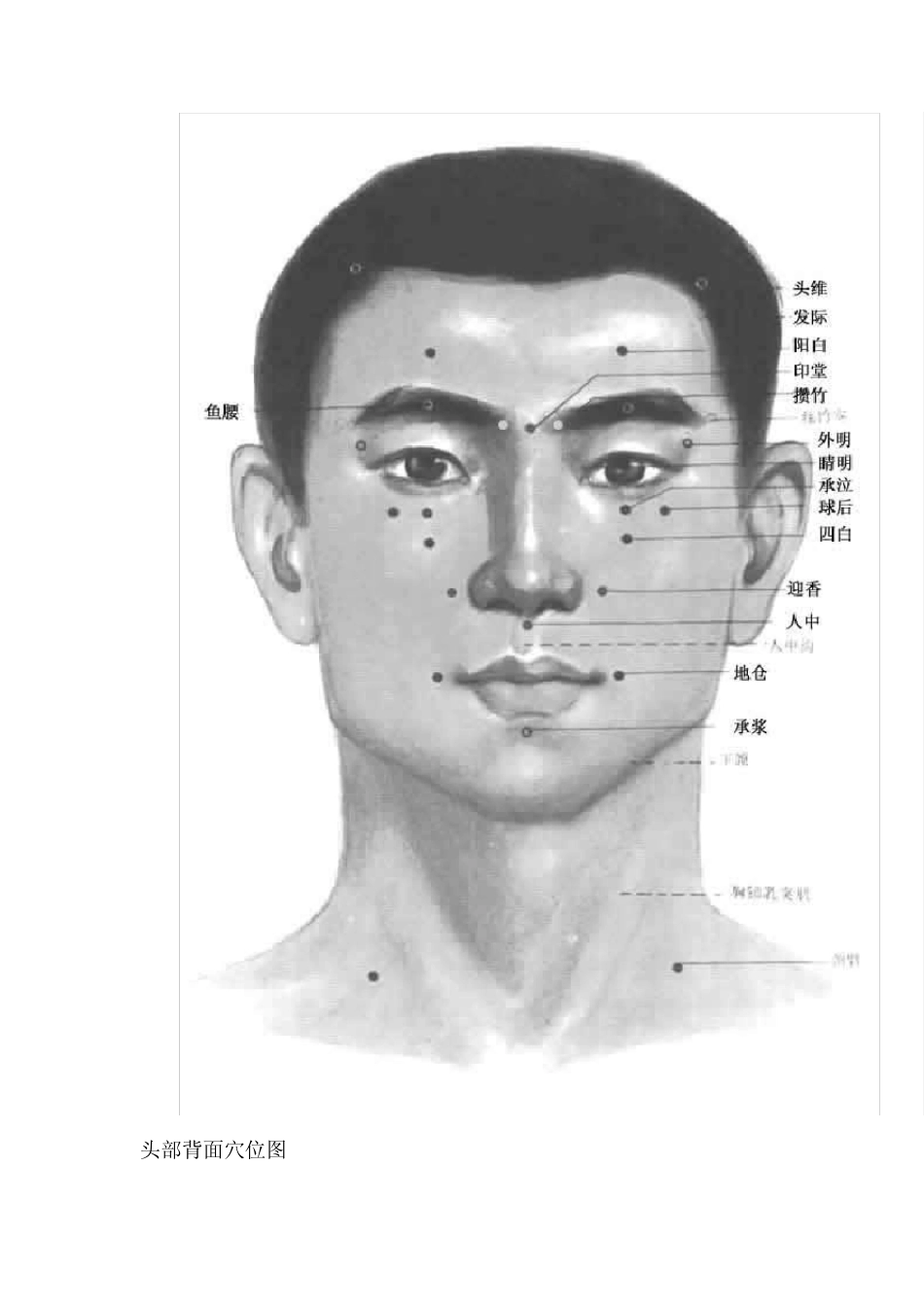 彩色版人体穴位图_第3页