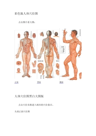彩色版人体穴位图