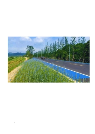 彩色陶瓷颗粒防滑路面系统