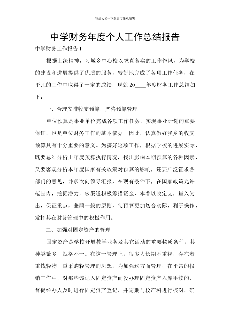中学财务年度个人工作总结报告_第1页