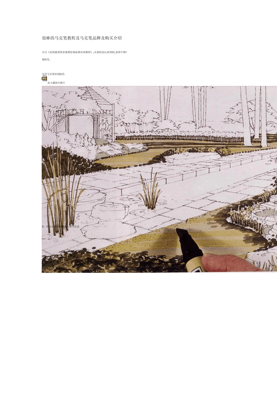 很棒的马克笔教程及马克笔品牌及购买介绍_第1页