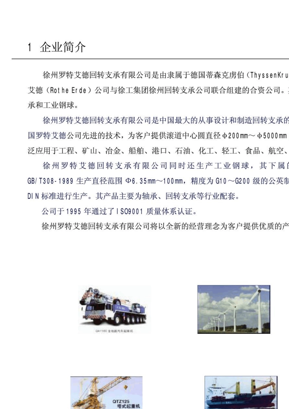 徐州罗特艾德回转支承样本_第2页