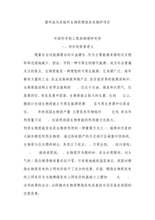 循环流化床秸秆锅炉项目