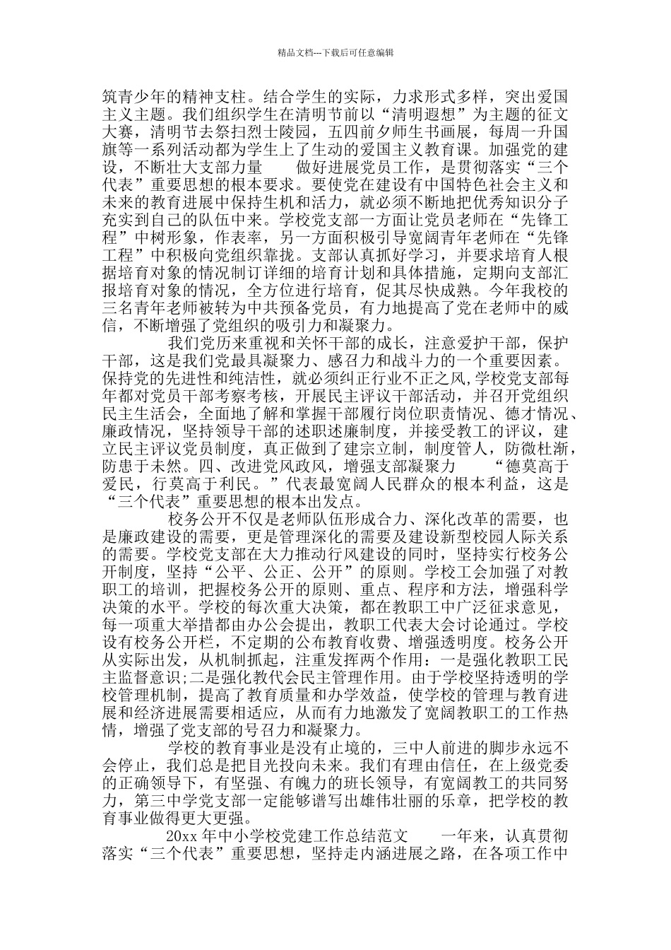 中小学校党总支党建工作总结_第2页