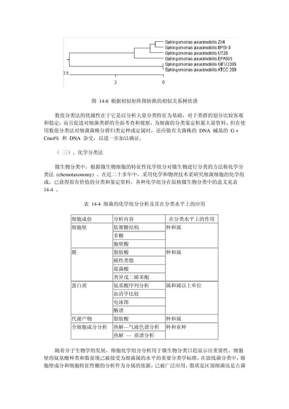微生物分类鉴定_第3页
