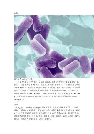 微生物基础知识