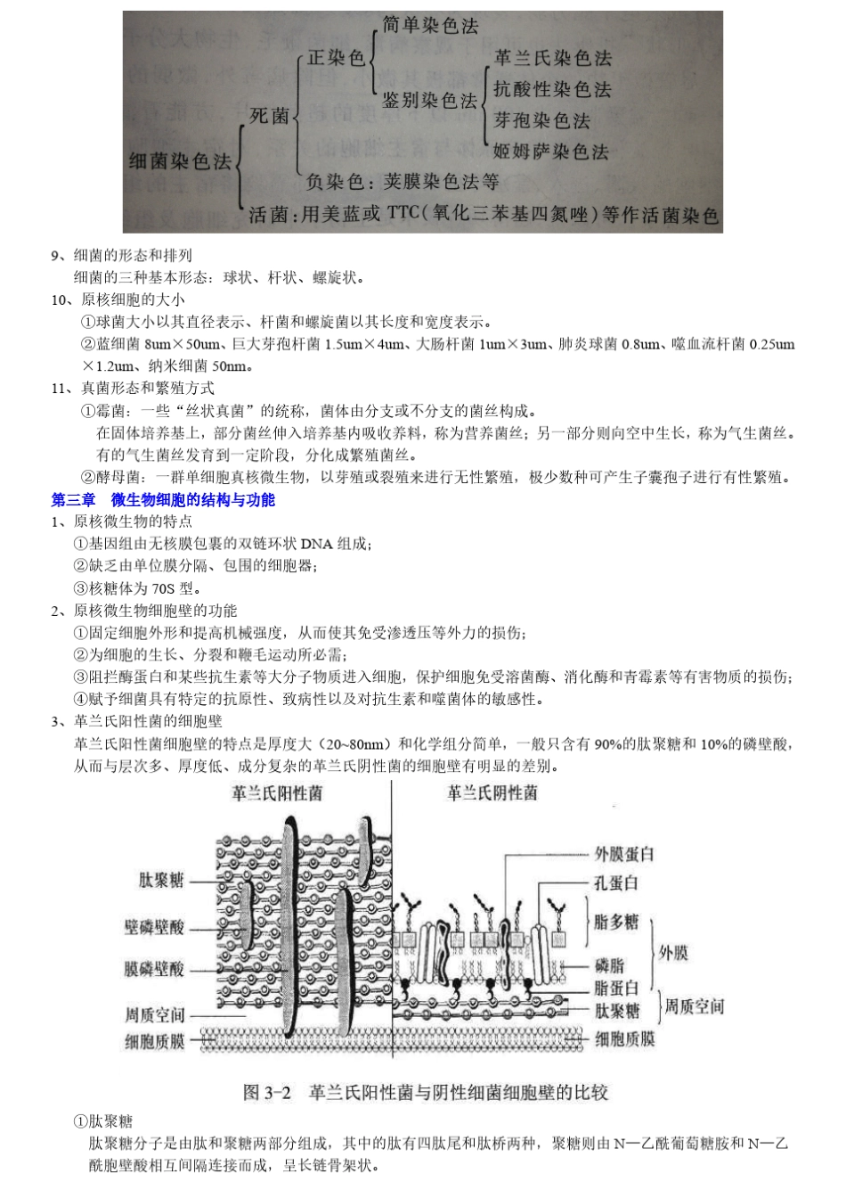 微生物学(沈萍)考试复习重点_第3页