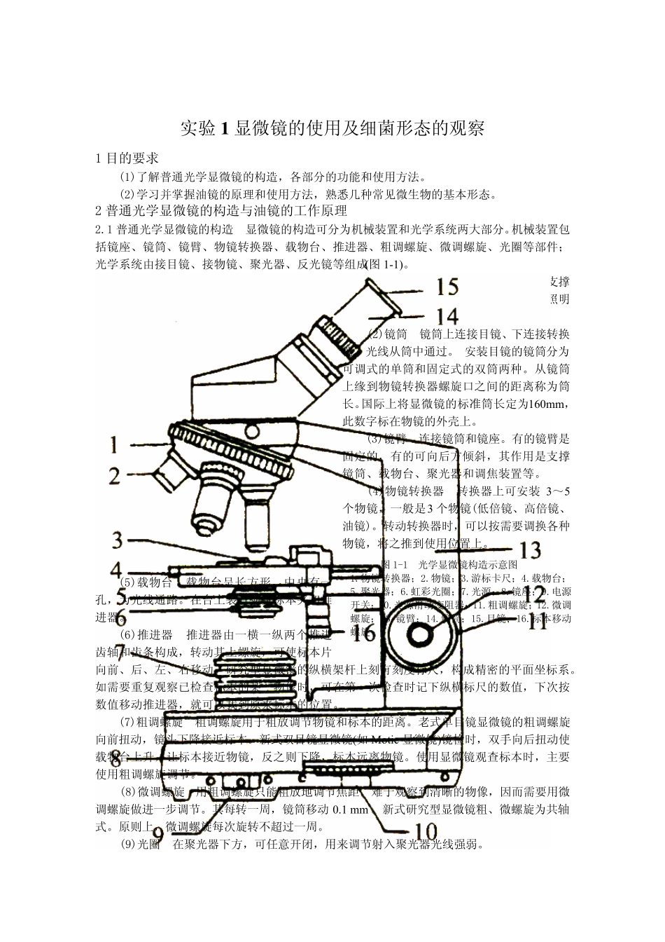 微生物学实验指导_第2页