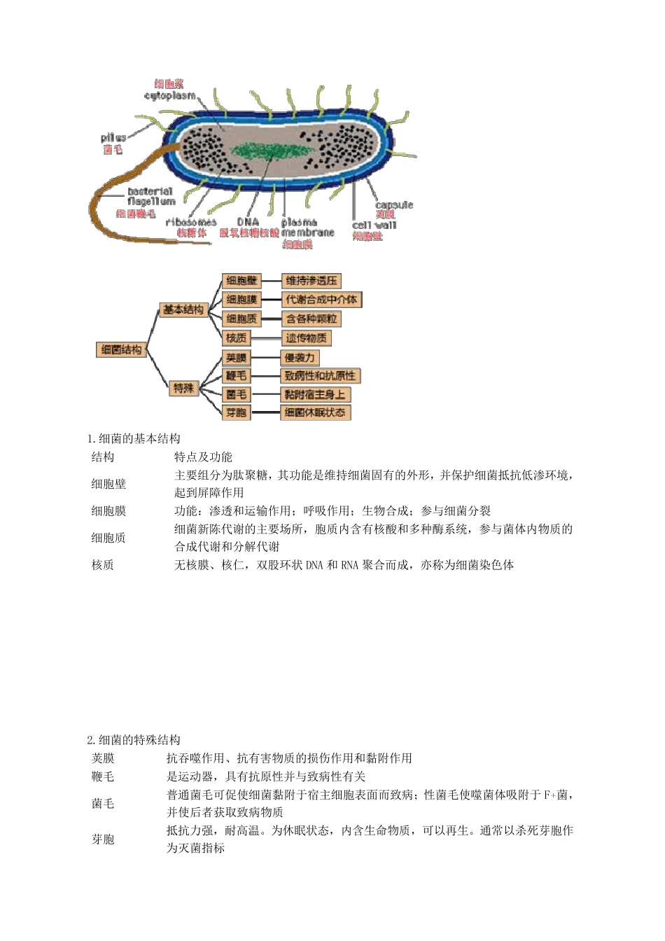 微生物学重点知识点归纳总结_第3页