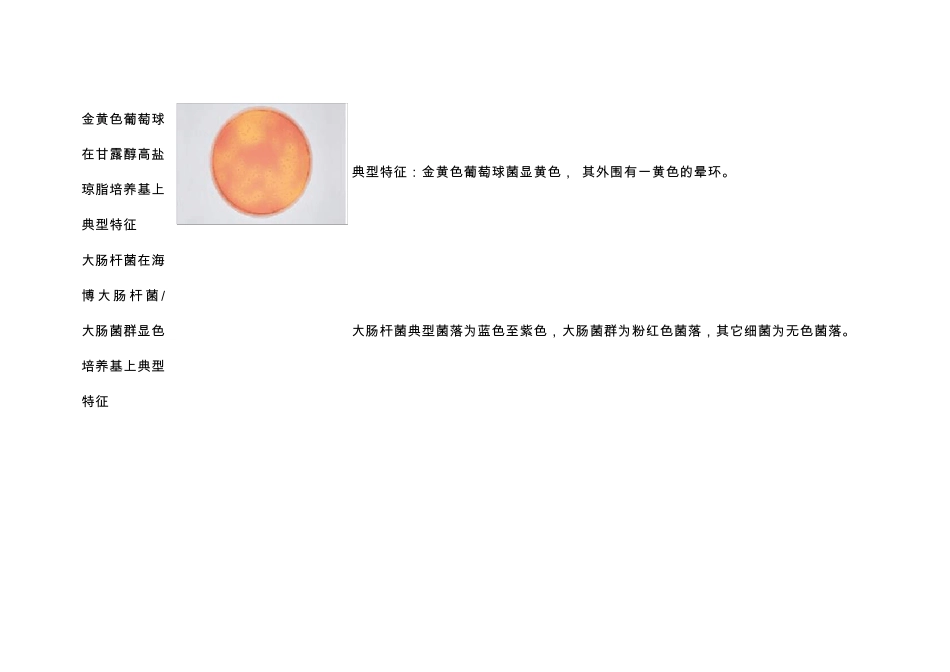 微生物菌落特征形态总结大全_第3页