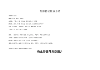 微生物菌落特征形态总结大全