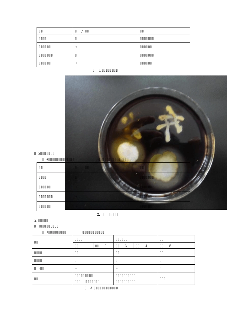 微生物鉴定中常用的生理生化试验_第3页
