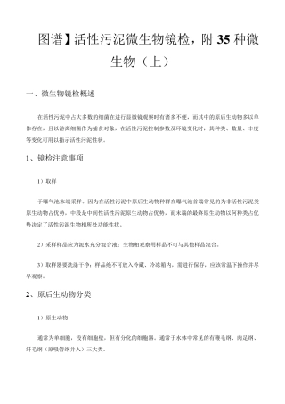 微生物镜检及运行判断
