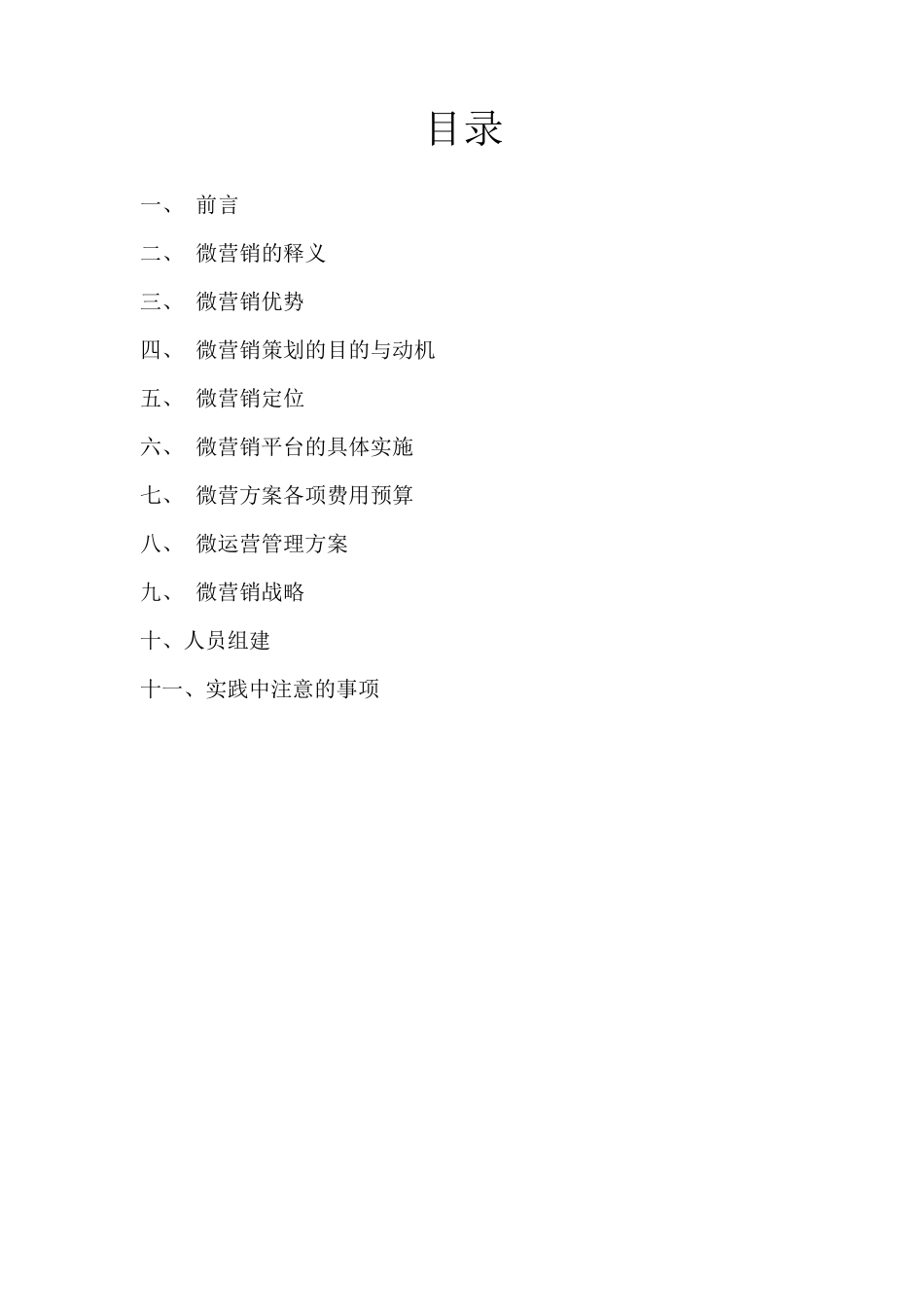 微营销策划方案_第2页
