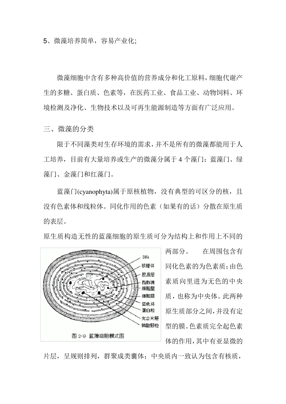 微藻特点与分类_第2页