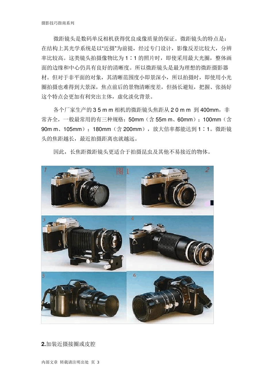 微距摄影技巧及要点_第3页