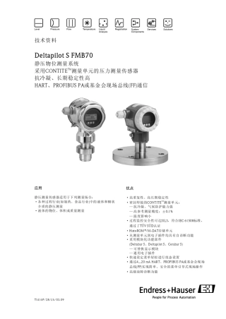 德国E+H_FMB70说明书