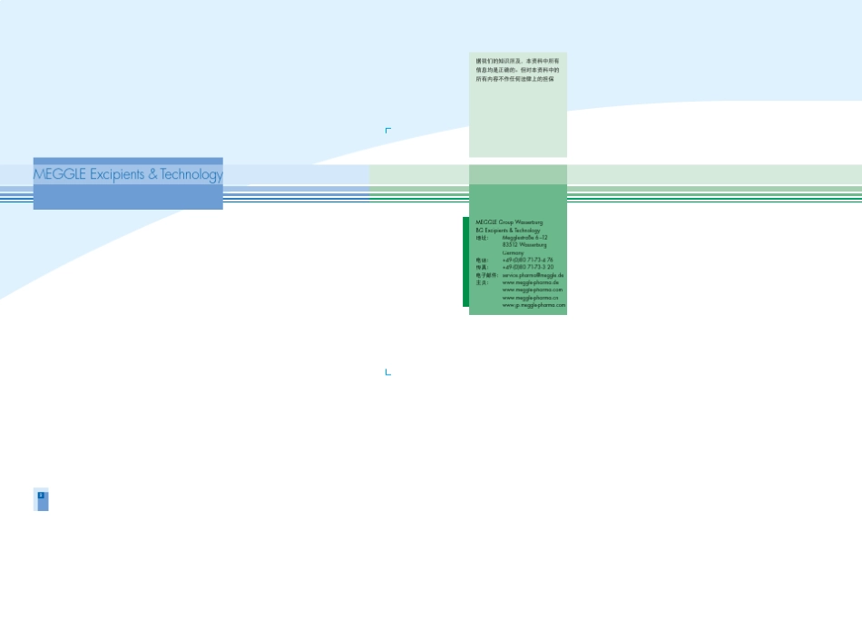 德国美剂乐药用乳糖_第2页