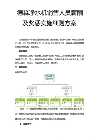 德淼净水机销售人员绩效考核制度