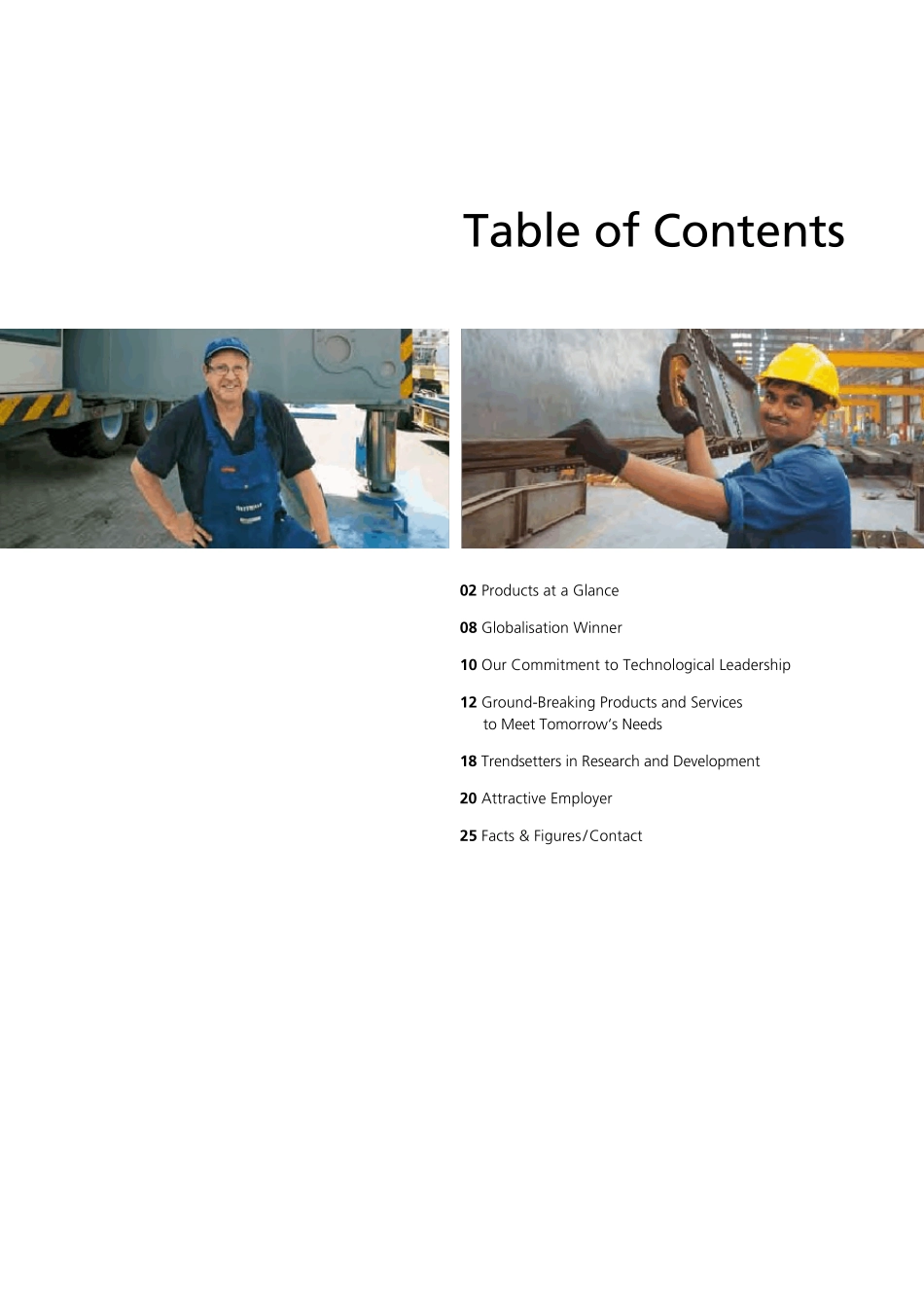 德马格起重机简介_第3页