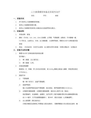 心力衰竭模型制备及实验性治疗