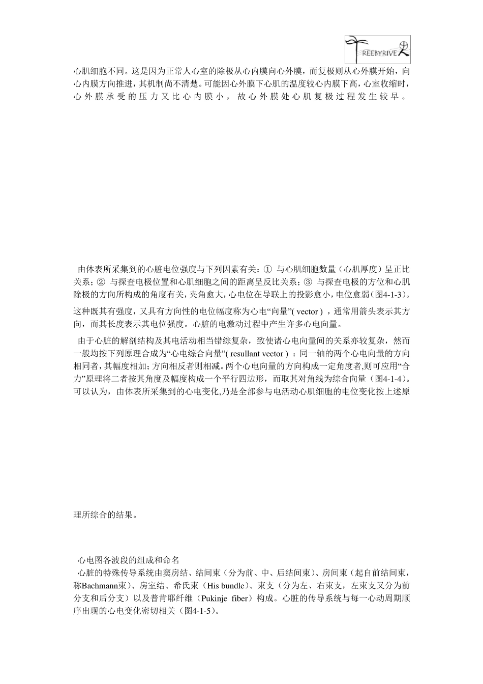 心电图基础知识_第2页