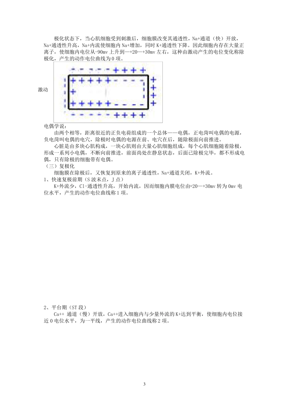 心电图大课教案_第3页
